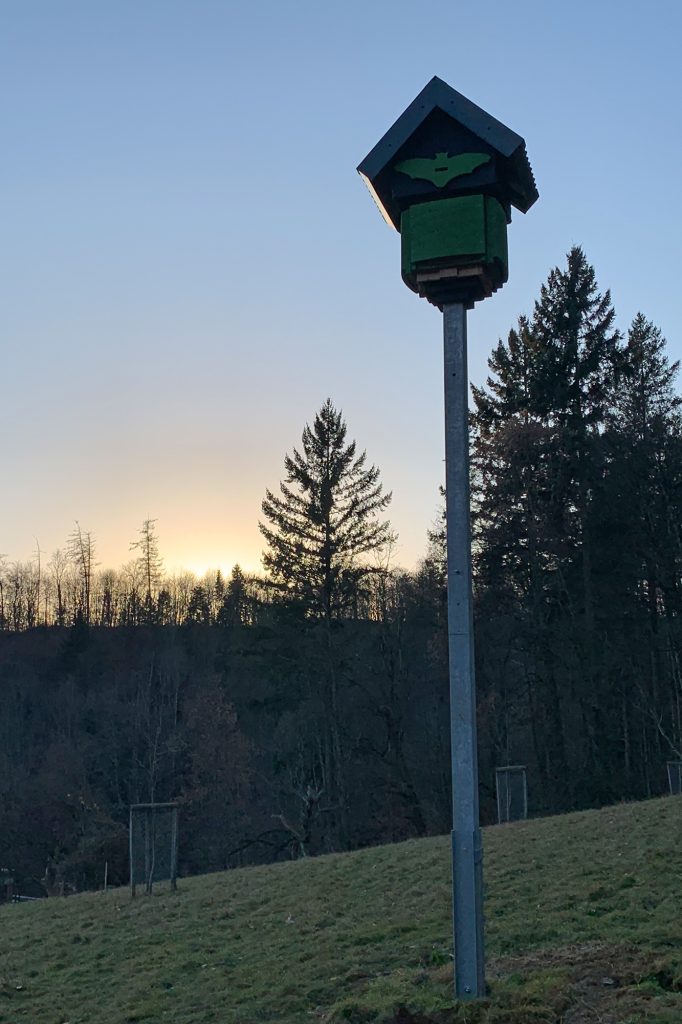 Fledermausturm
