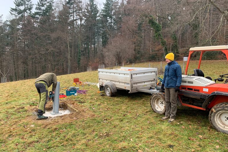 Errichtung eines Fledermausturms