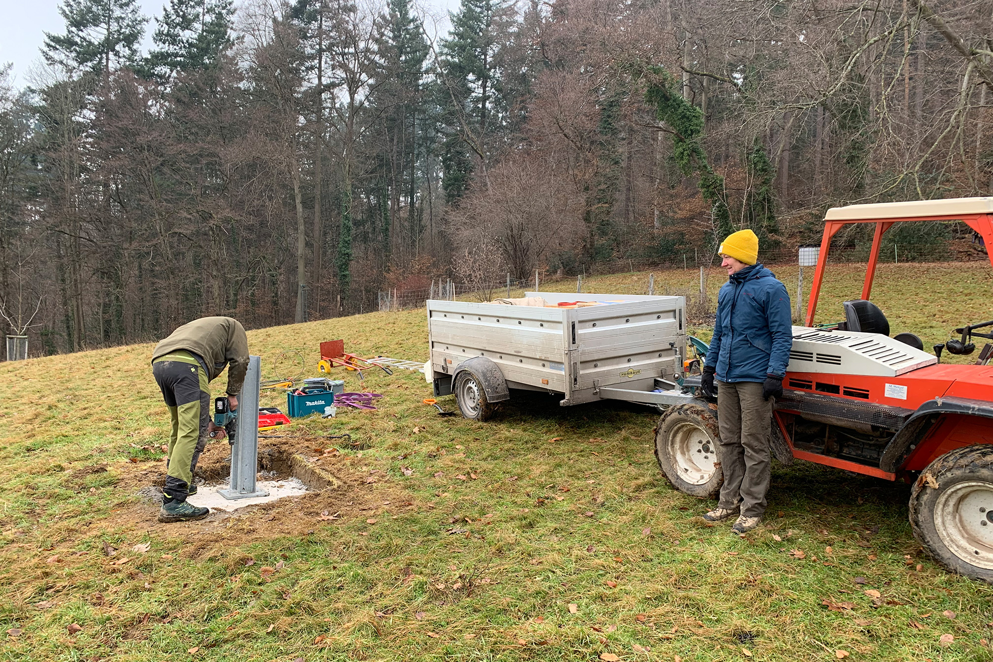 Errichtung eines Fledermausturms