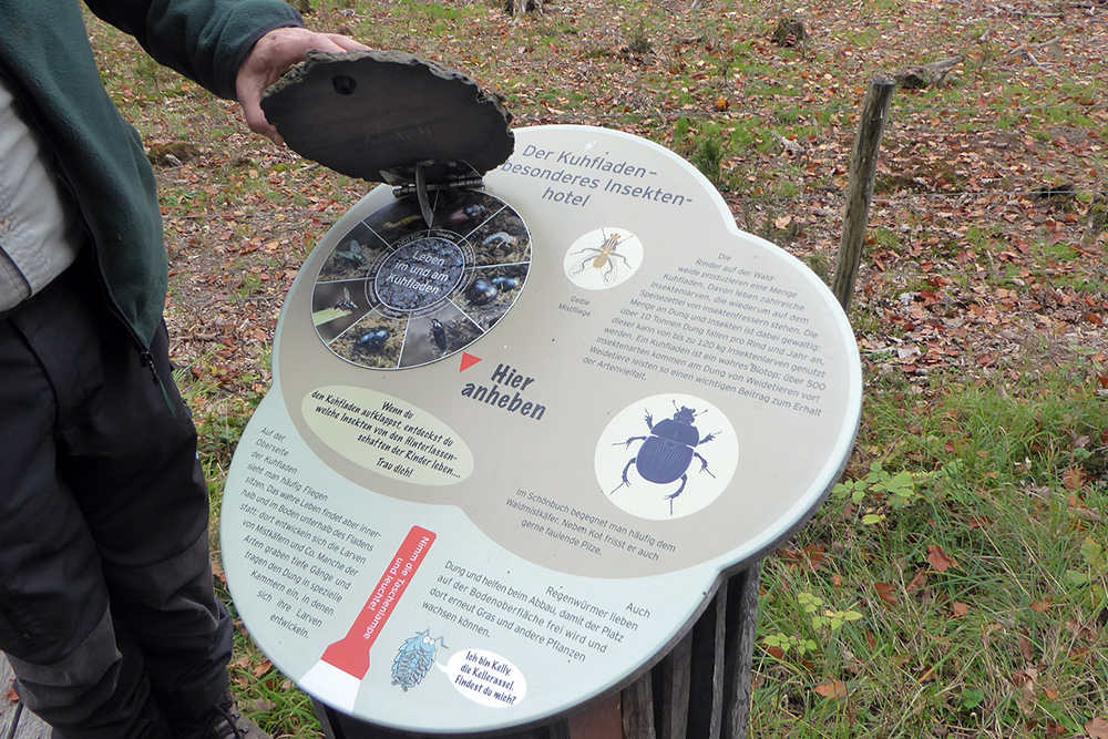 Waldweide: Schild zur Erklärung, welche In sekten on und in einem Kuhfladen leben