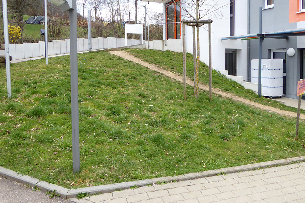 Blühwiese Hohenstaufen im April 2025