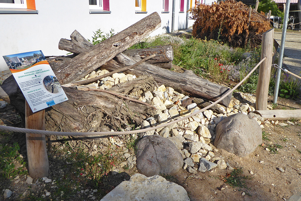 Schild "Eidechsen-Habitat" neben der Blühwiese Hohenstaufen im August 2026
