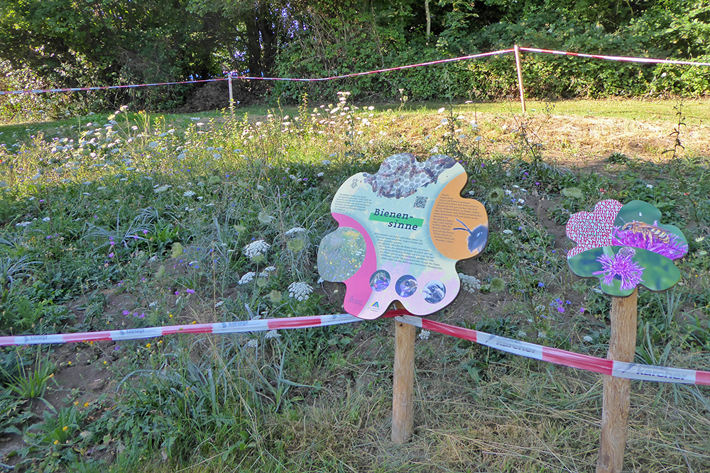 Schild "Bienensinne" auf der Blühwiese Hohenstaufen im August 2026