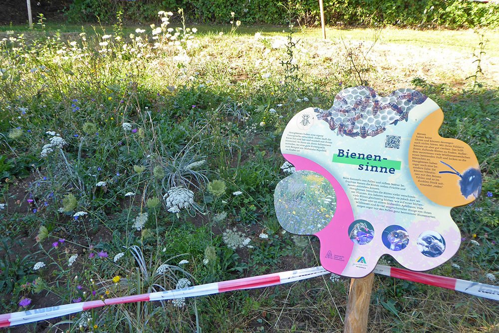 Schild "Bienensinne" auf der Blühwiese Hohenstaufen im August 2026