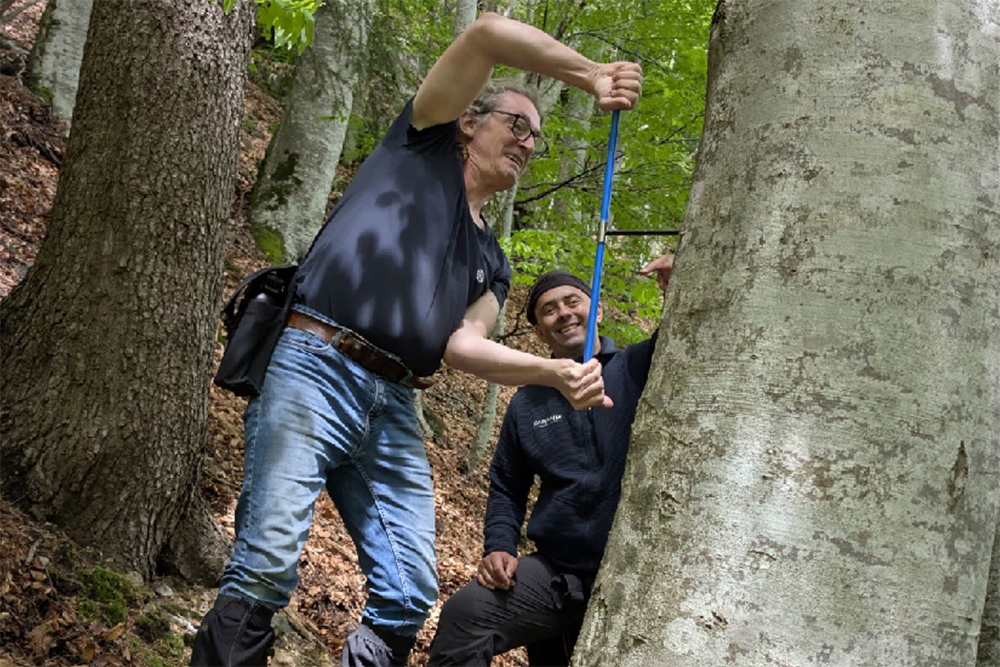 Bilder vom Projekt Rumänische Urwälder