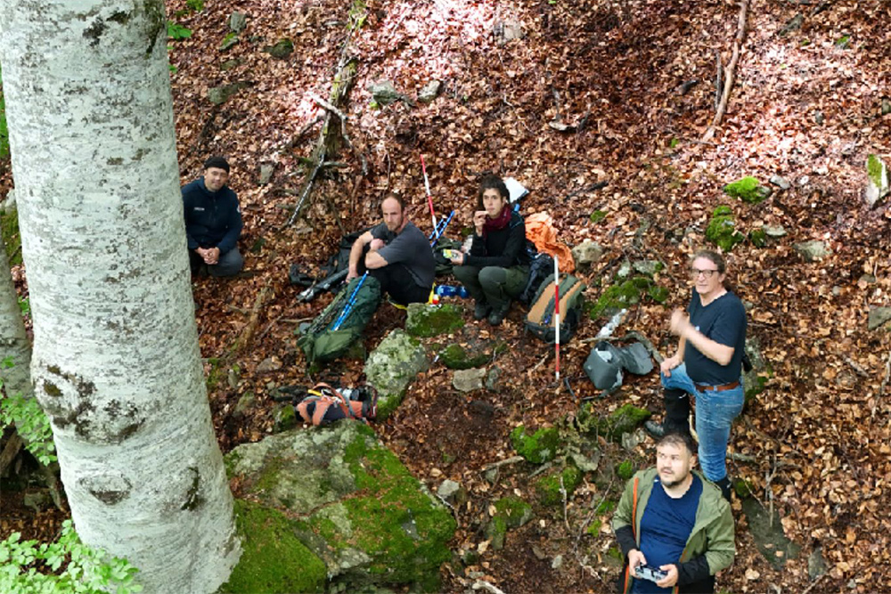 Bilder vom Projekt Rumänische Urwälder