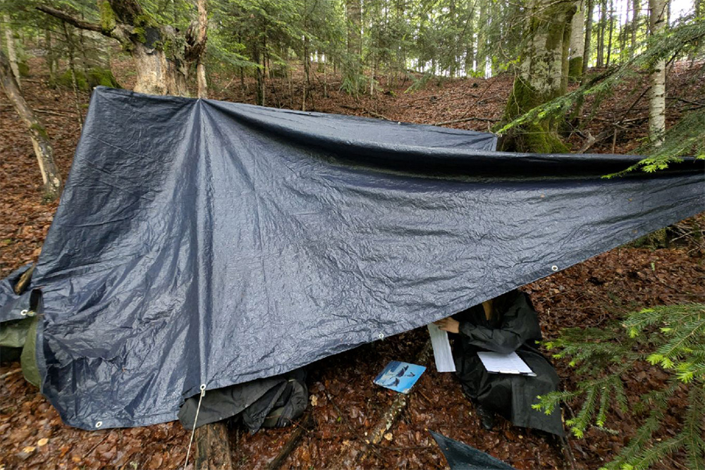 Bilder vom Projekt Rumänische Urwälder
